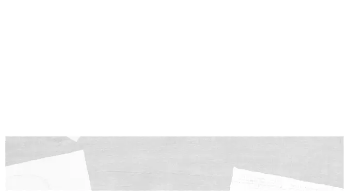 Human: lower third · blank