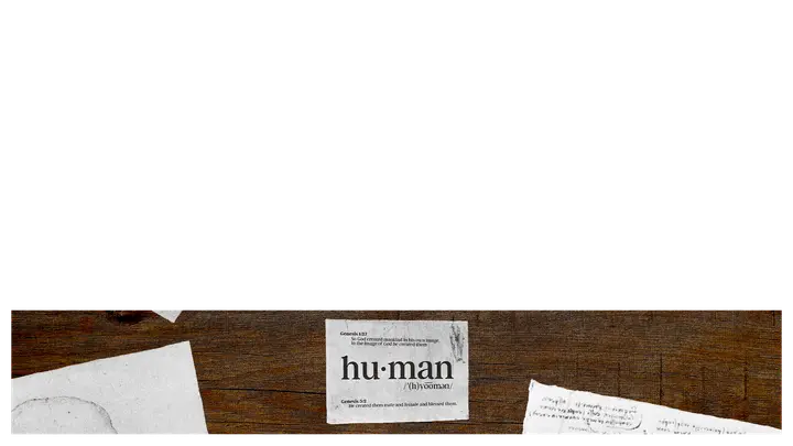 Human: lower third