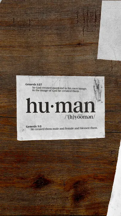 Human: story