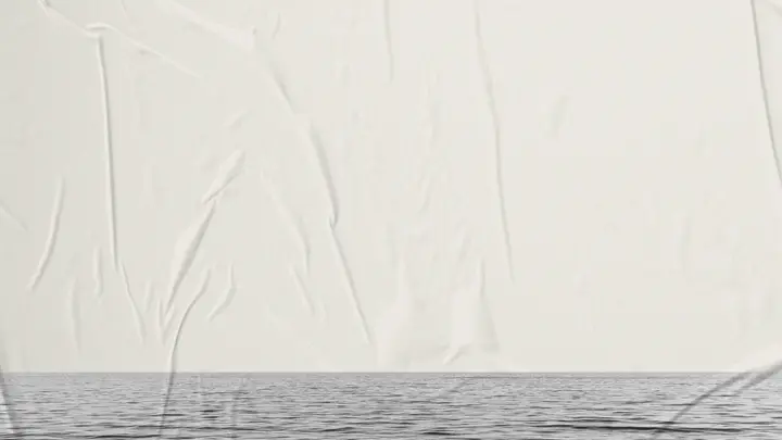 Prince of Peace: 4K slide · blank