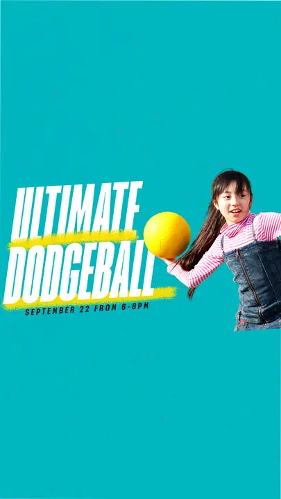 Ultimate Dodgeball: story