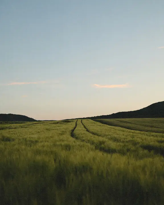 Choose Faithfulness: social post · blank