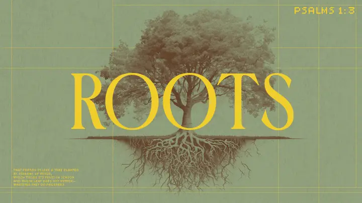 Roots: 4K slide