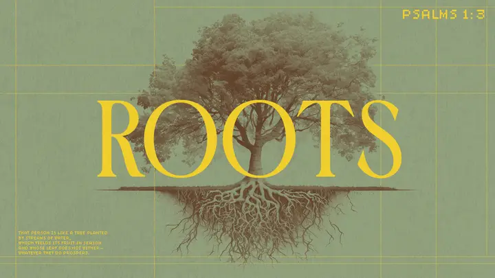 Roots: HD slide