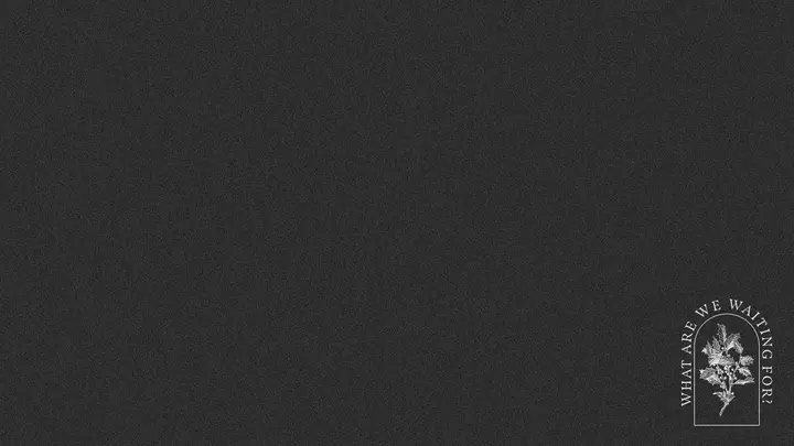What Are We Waiting For: notes slide