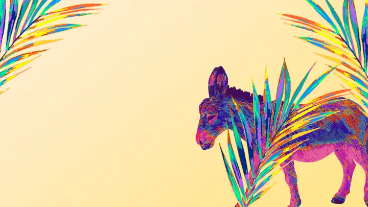 Palm Sunday Multicolor: slide 3