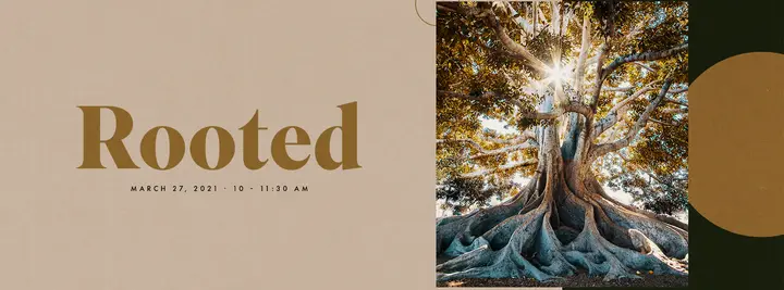 Rooted: facebook cover