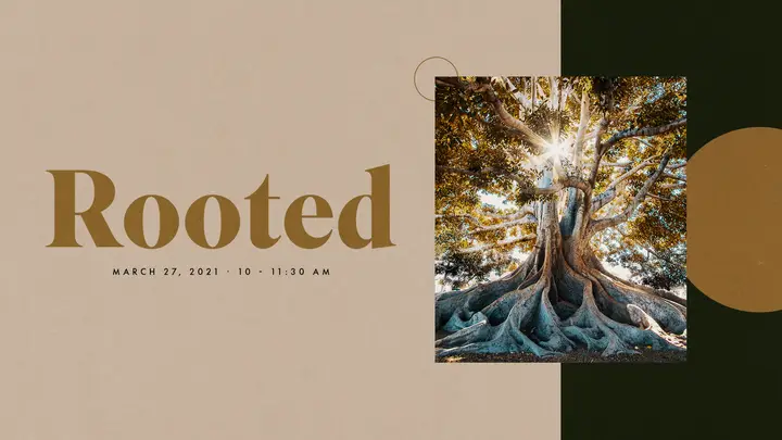 Rooted: HD slide