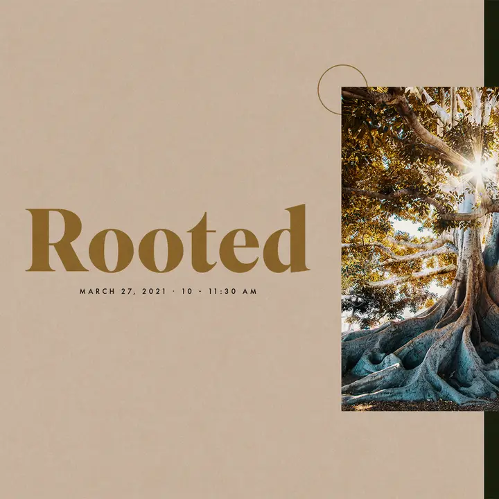 Rooted: social post