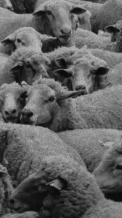 Each One, Reach One: story · blank