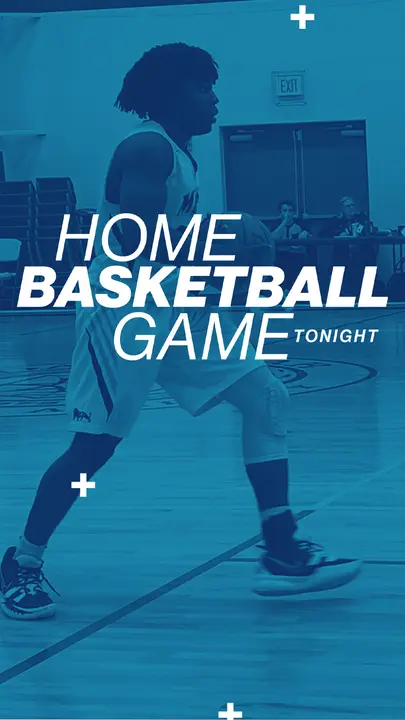 Home Basketball Game: story