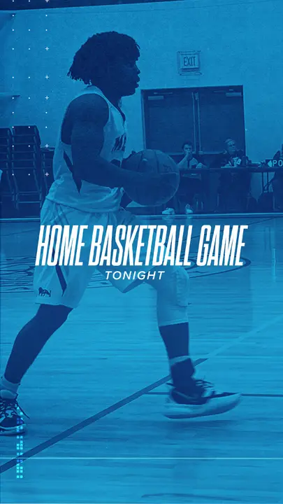 Home Basketball Game: story