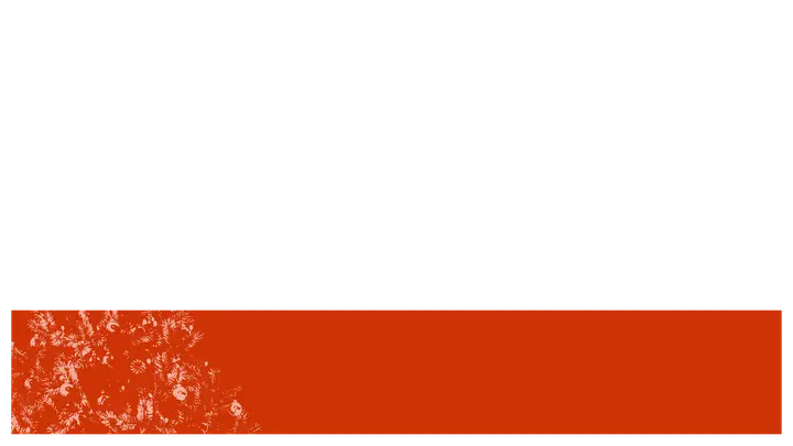 Student Christmas Party: lower third · blank