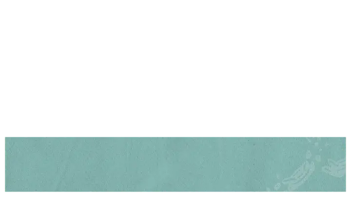 Freedom: lower third · blank