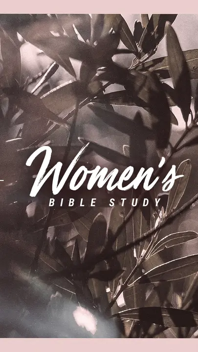 Women’s Bible Study: story
