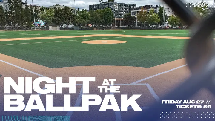 NIght at the Ballpark: HD slide