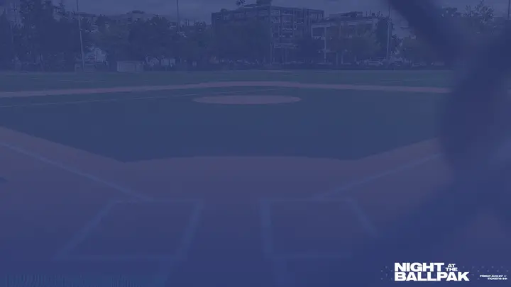 NIght at the Ballpark: notes slide