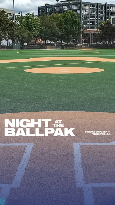 NIght at the Ballpark: story