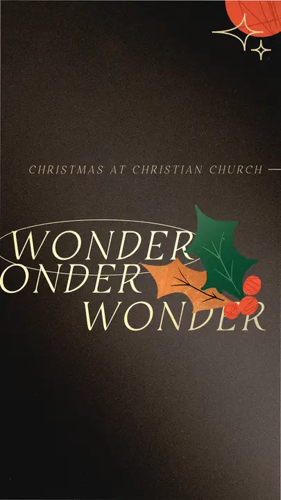 Wonder: story