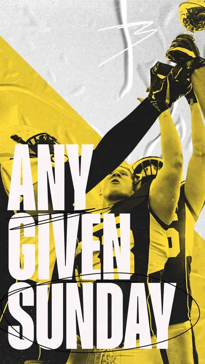 Any Given Sunday: story