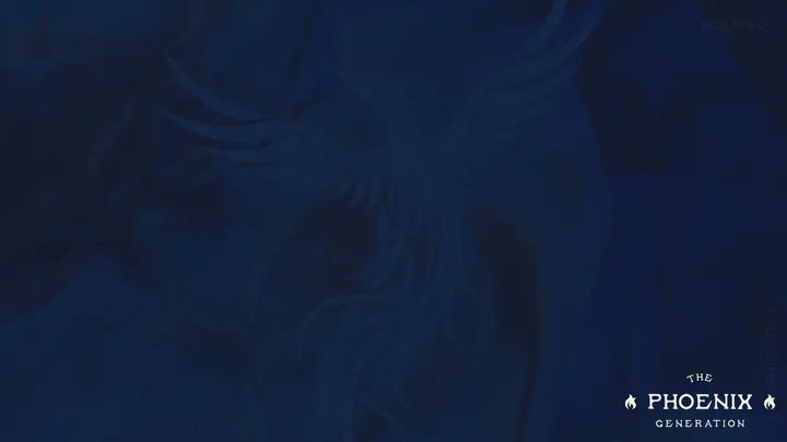 The Phoenix Generation: notes slide