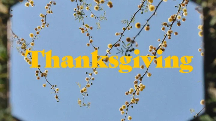 Thanksgiving: 4K slide