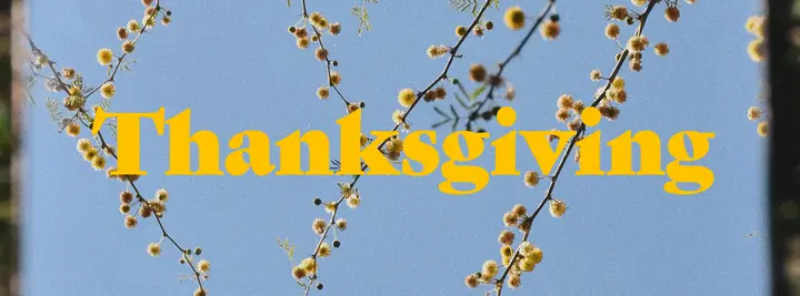 Thanksgiving: facebook cover