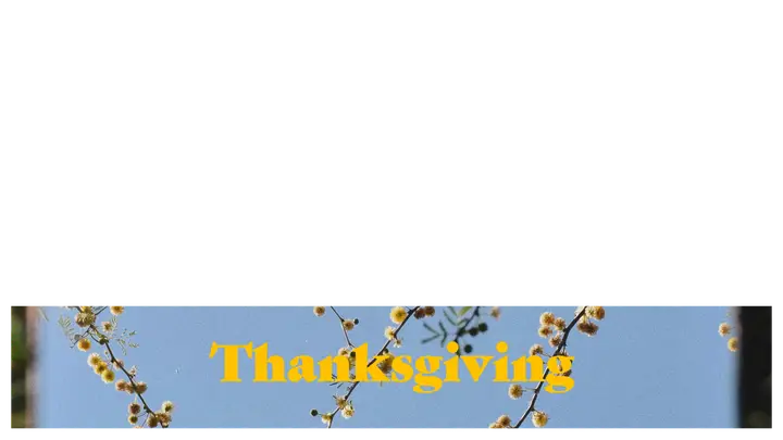 Thanksgiving: lower third