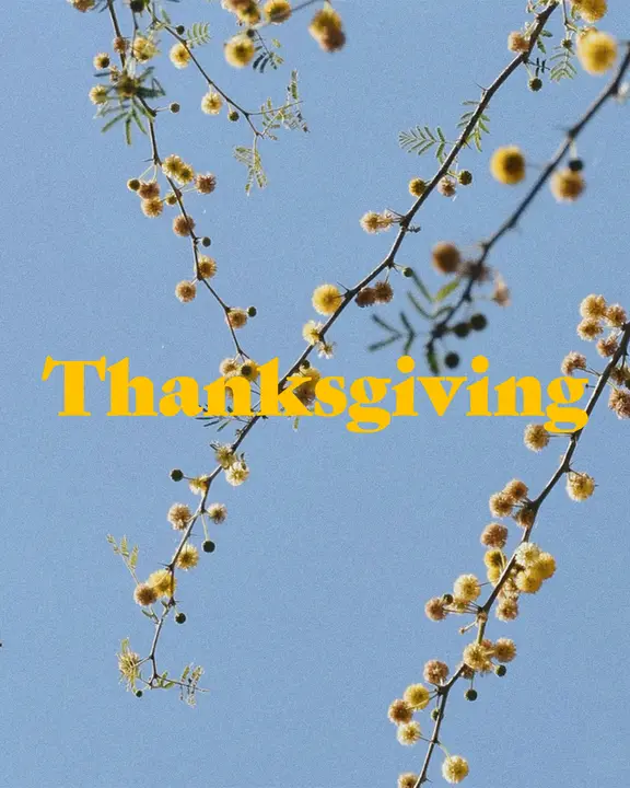 Thanksgiving: social post