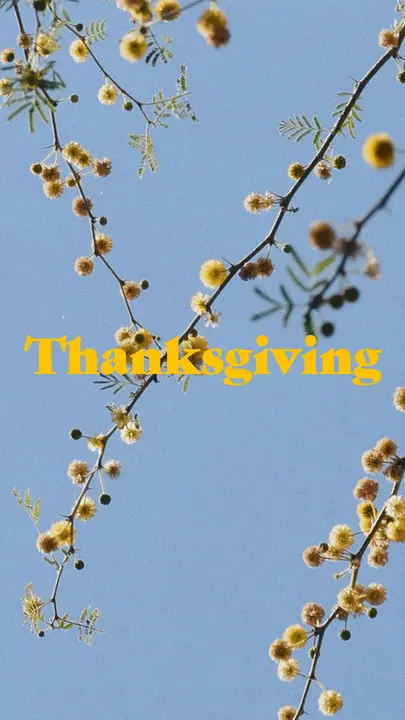 Thanksgiving: story
