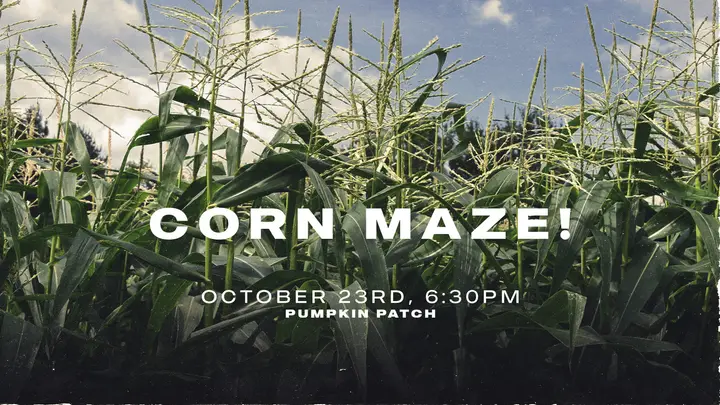 Corn Maze: HD slide