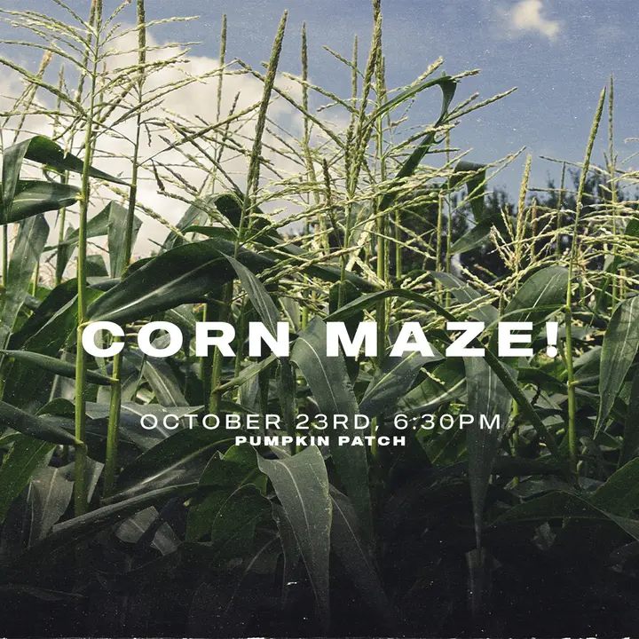 Corn Maze: social post