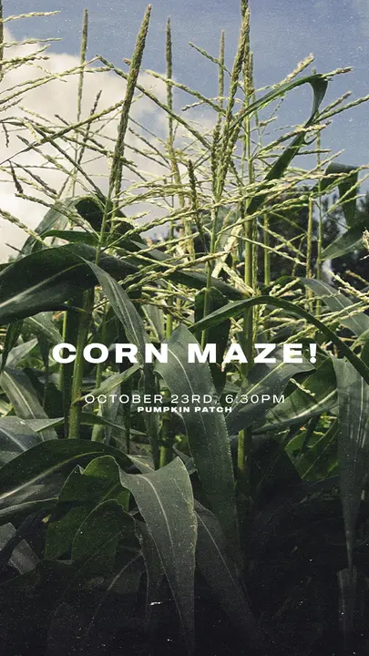 Corn Maze: story