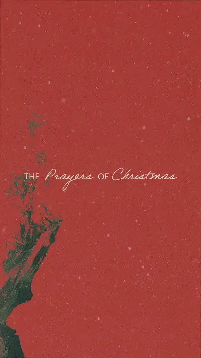 The Prayers of Christmas: story