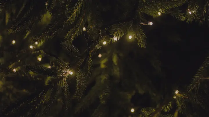 Communion & Carols: 4K slide · blank