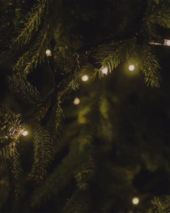 Communion & Carols: social post · blank