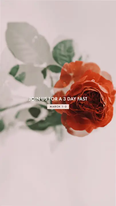 3 Day Fast: story