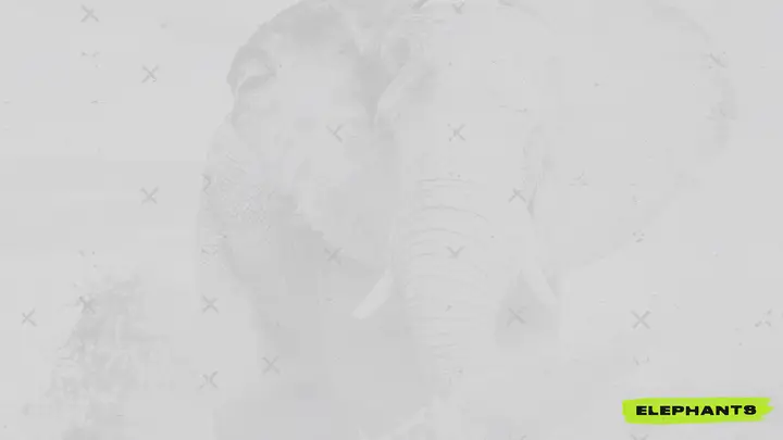 Elephants: notes slide