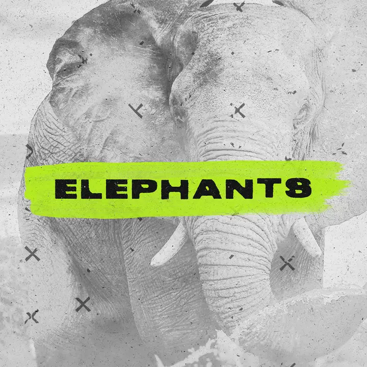 Elephants: social post