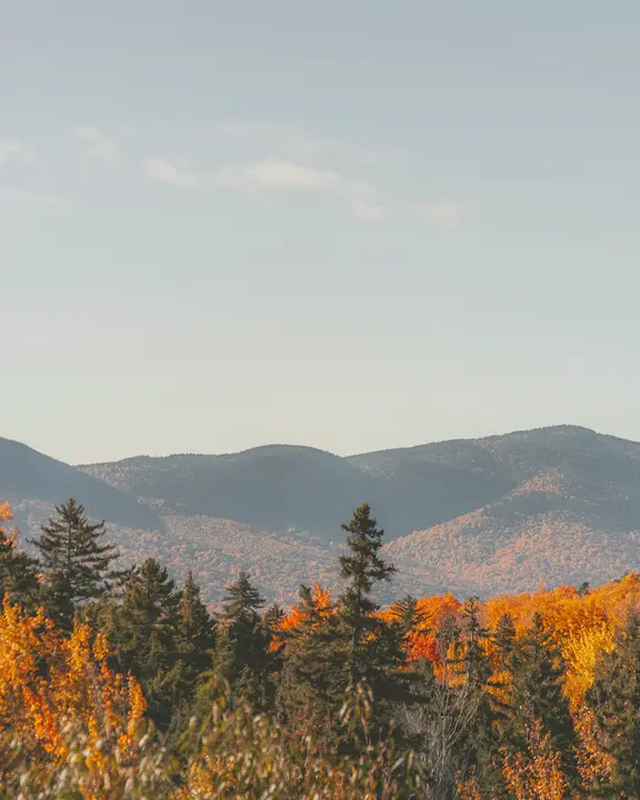 Always Giving Thanks: social post · blank