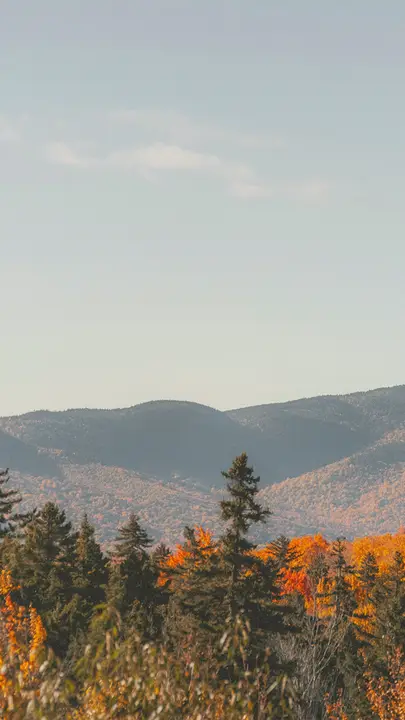 Always Giving Thanks: story · blank