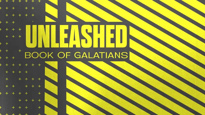 Unleashed: HD slide