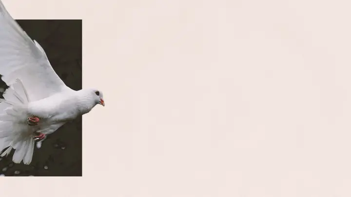 Holy Spirit: 4K slide · blank