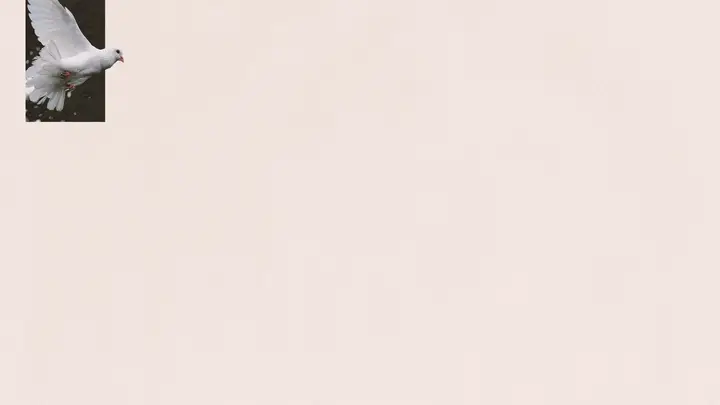 Holy Spirit: blank background