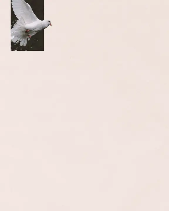 Holy Spirit: social post · blank