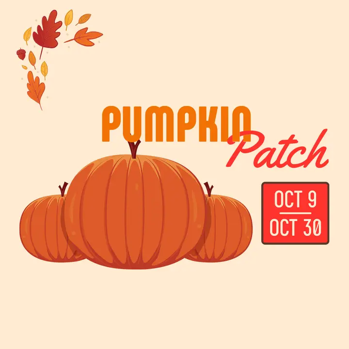 Pumpkin Patch: social post