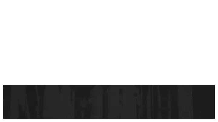 Foundation: lower third · blank