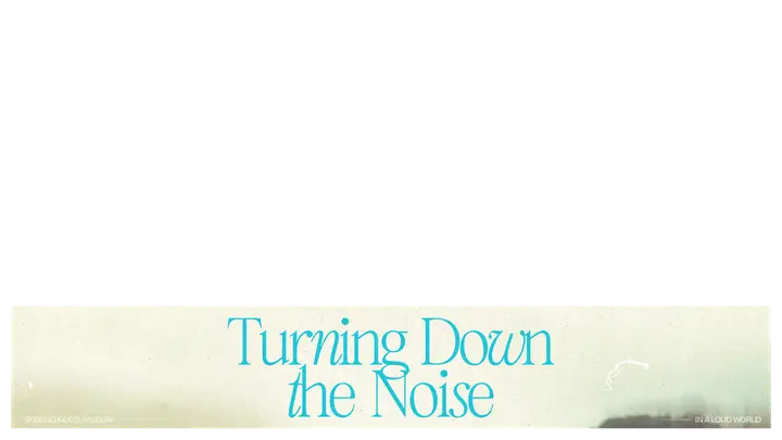 Turning Down the Noise: lower third