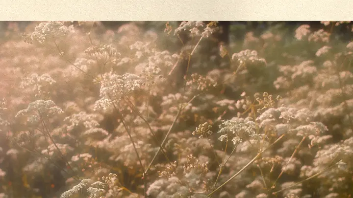 Easter: 4K slide · blank