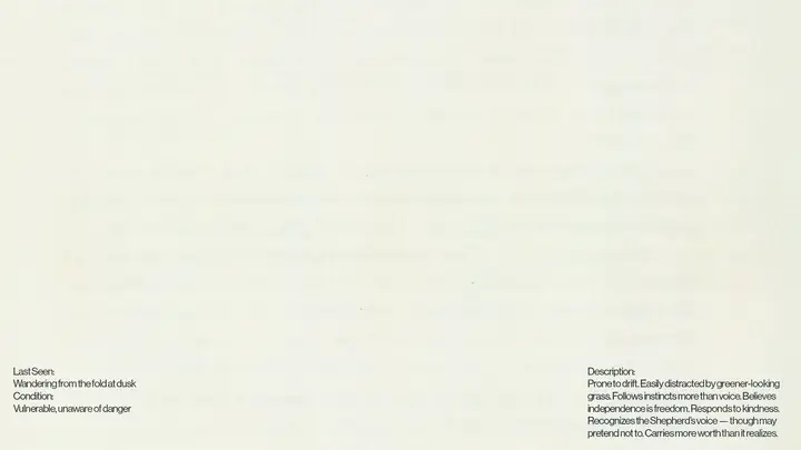 Lost and Found: blank background